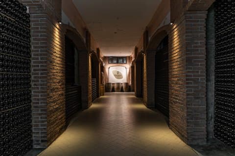 Brescia: Franciacorta vinsmagning i et historisk vingård