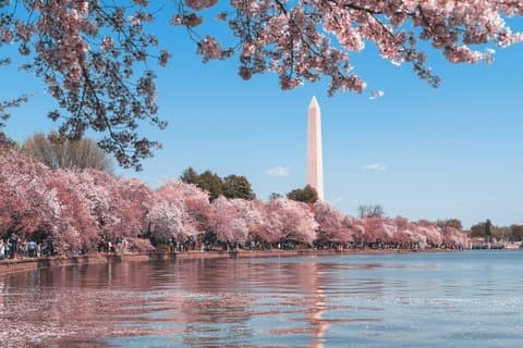 DC Monuments Tour mit 10 + Sites & Washington Monument Ticket