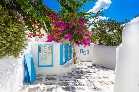 The Mykonos We Live - Um Dia Privado Projetado Para Você