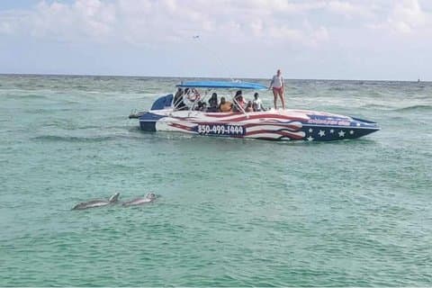 Emociones de lanchas rápidas y observación de delfines en Destin