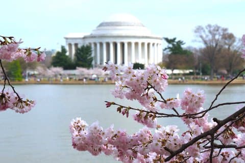 National Mall & Monuments Guided Tour with Optional Tickets