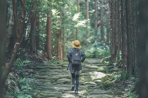 2D1N Kumano Kodo Iseji Tour med lokal guide