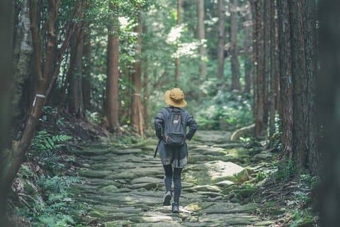Intensiv vandring: 2D1N Kumano Kodo Iseji Tour med lokal Guide