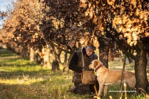 Day Trip from Avignon Truffle Hunting Uzès Pont du Gard and Wine