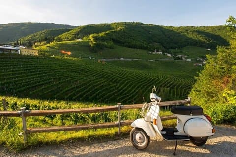 Fiesole und Florence Hills von Vespa mit Olivenölverkostung
