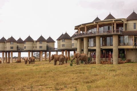 Aventure safari de 3 jours avec Tsavo East et Saltlick
