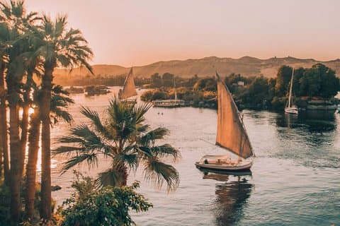Jardín Botánico & Isla Elefantina por Felucca