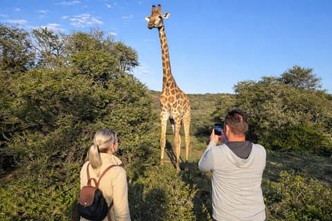 Paseo con jirafas y aventuras en Game Drive