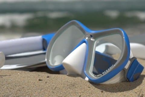 Snorkeling Shared Tour in Kralendijk