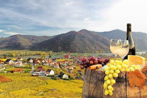 Wachau Beauty & Medieval Heritage – Dürnstein Private Shore Tour