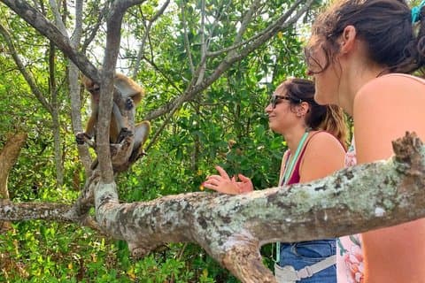 Southtern Sri lanka Day Tour from Colombo , Kaluthara or Bentota