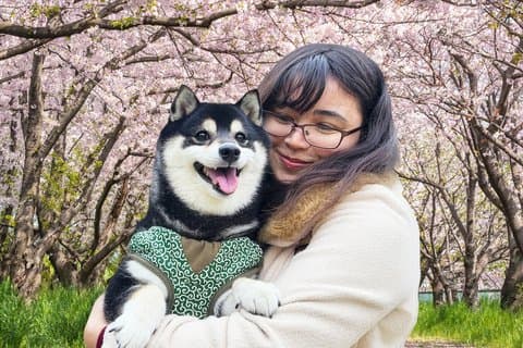 Santuário de Yasukuni Shiba Inu Walk: Explore o lado tranquilo de Tóquio