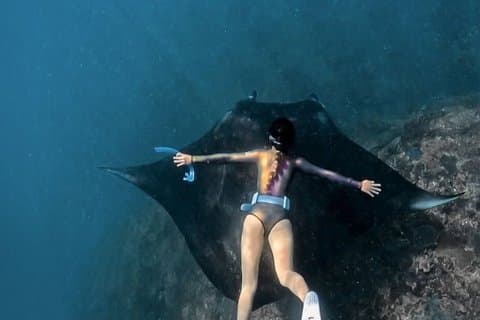 Bali Nusa Penida Manta Point Snorkeling avec visite terrestre