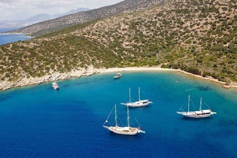 Bodrum Orak Island båttur med lunsj og svømming