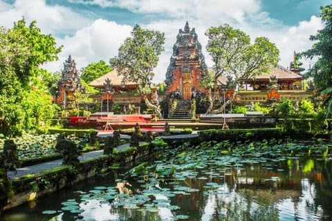 Private Ubud Tour: Swing, Tempel, Monkey Forest & Vandfald