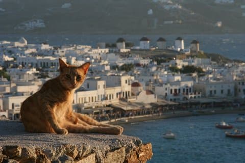 Private Mykonos The Cosmopolitan Landmark Tour