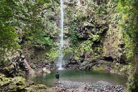 Madeira Jeep Safari – Hidden Gems, Fanal & Seixal Off-Road Tour