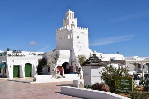 Fulddags guidet rundvisning i Djerba Island og krokodillepark med frokost
