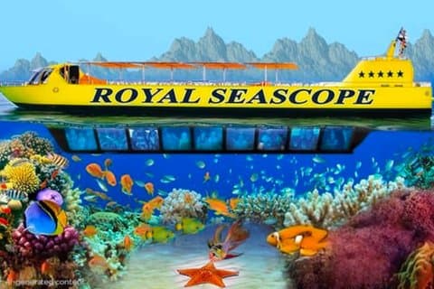 Fantastisk Royal Sea Scope