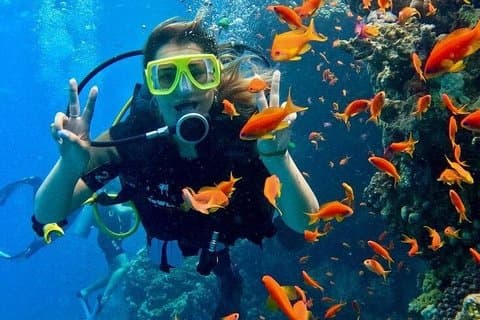 Plongée sous-marine à Hurghada avec déjeuner et excursion en bateau