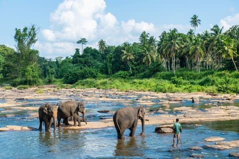 Zero-Stress Journey : Ella à l'aéroport et Colombo