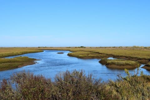 Hoteller i nærheden af Ria Formosa Natural Park