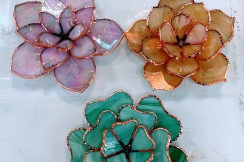 Flekker av glass Succulent Workshop
