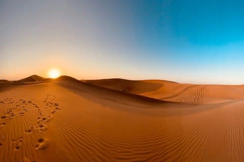 Red Dunes Desert Safari Abu Dhabi BBQ Dîner et Dune Bashing