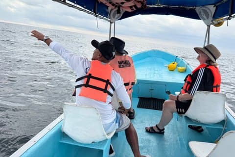 Marine mammal watching: dolphins and whales in Huatulco
