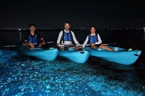 Excursions et locations de kayak. Dauphins, lamantins et bioluminescence !