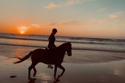 Sunset Beach Horse Ride in diabat Essaouira phooto shot & videos