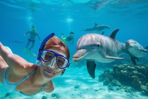 Nagez avec les dauphins à Dolphin House Hurghada Snorkeling Cruise