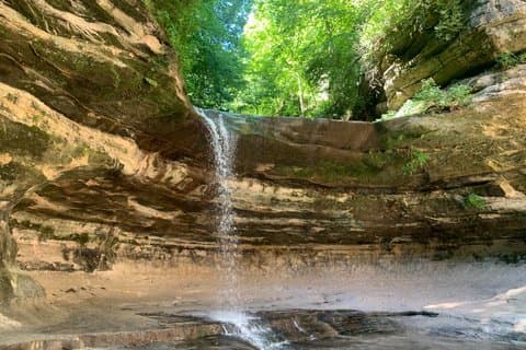 Guided Seasonal Hike