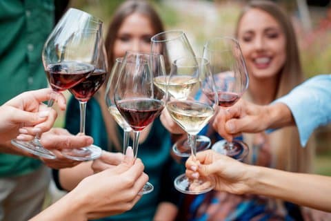 Tour de vinos y catas en Niágara con transporte