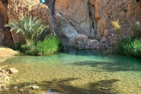 3-Day Sahara and South Tunisia Splendors Douz Tozeur from Tunis