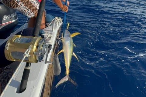 Ultimate Fishing in Raiatea and Taha'a - Full Day