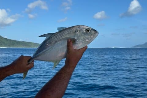 Ultimate Fishing in Raiatea and Taha'a - Half-day
