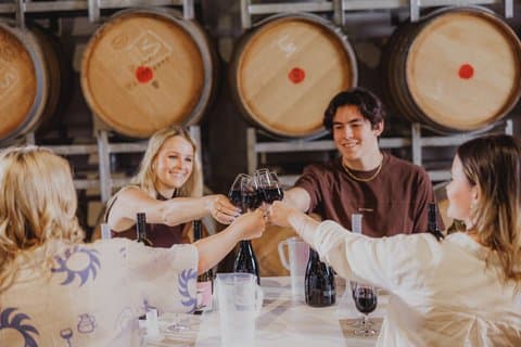 Sirromet Winery Tour med vinsmagning og frokost (fra Brisbane)