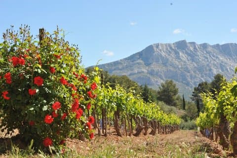 Hoteller i nærheden af Aix-en-Provence Tasting & Visit