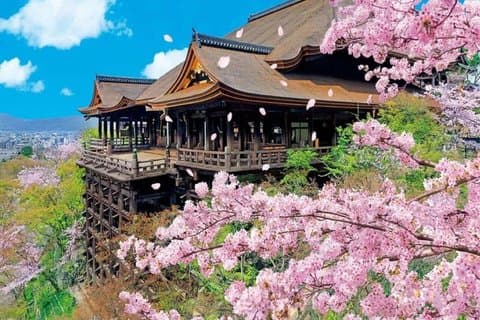 Kyoto Private Hightlights Tour personalizável & Inglês Guia do motorista