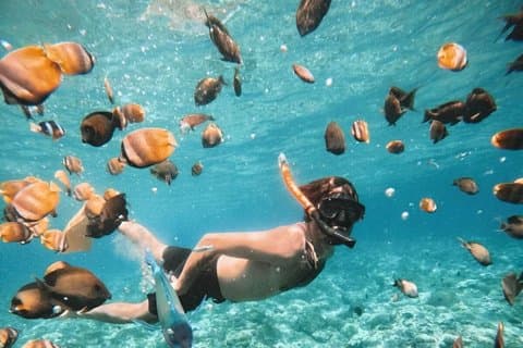Blue Lagoon snorkelen, watervaltour en schommel