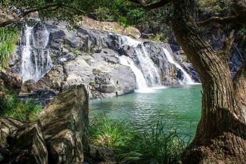 Aventura privada en la selva tropical en Booloumba Falls / Creek