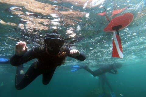 Snorkeltocht per boot op Madeira