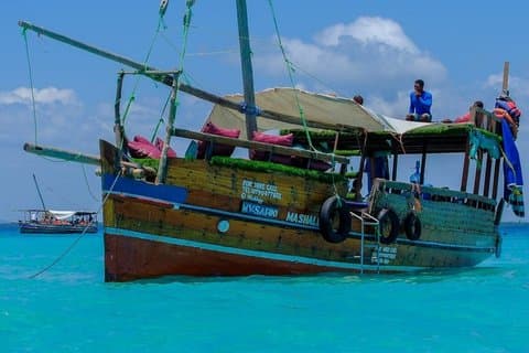 1 Day Wasini Dolphin Tour From Diani Beach