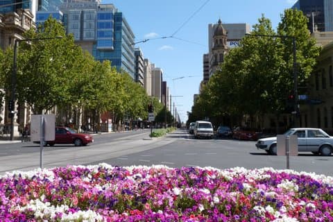 Det bedste af Adelaide - byens højdepunkter (halvdagstur)