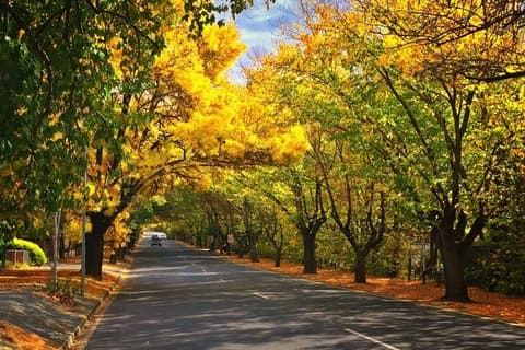 Upptäck Hahndorf & Taste McLaren Vale