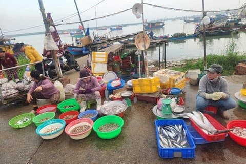 Hoteller i nærheden af Hoi An Sunrise - Fish Market & Hidden Local Villages