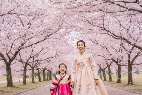 Full Day Tour Jeonju Hanok Village and Wansan Park