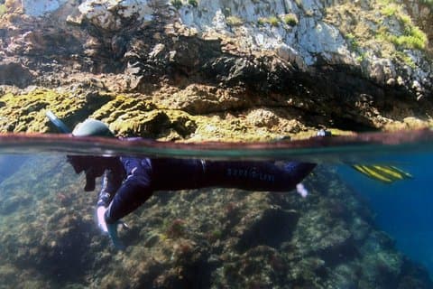 カーボベルデ、サン ビセンテでのダブル シュノーケリング ツアー