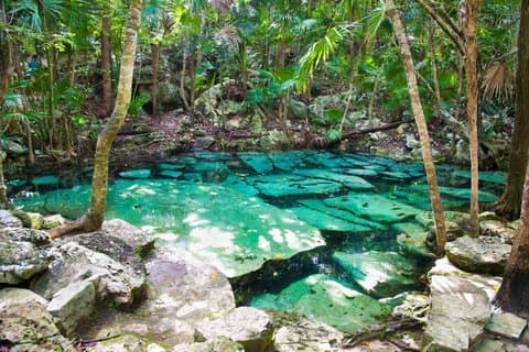 Privat dagstur till Cenote Azul och Playa del Secreto från Cancun